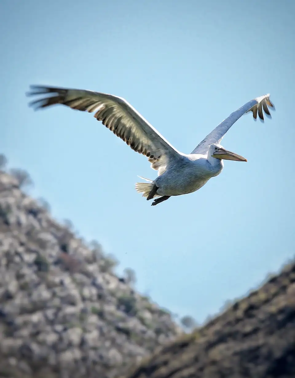 4_Lake Skadar National Park