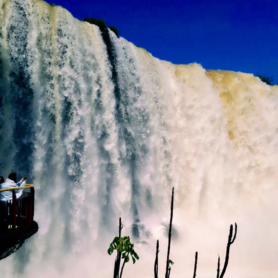 Hotels near Puerto Iguazu