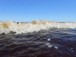 Roseway Beach