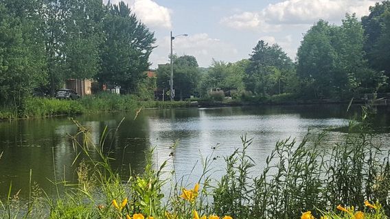Sherbrooke