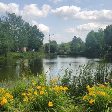 Domaine-Howard Park