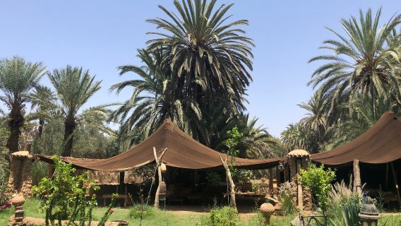 Kasbah of Tiout