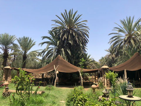 Tiout Kasbah