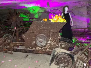 Saut Aux Loups - Museum