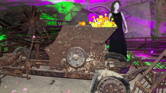 Saut Aux Loups - Museum