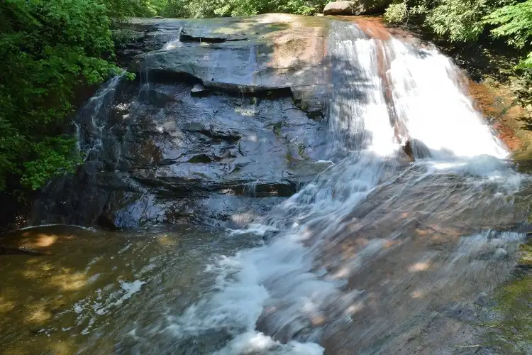 Laurel Creek