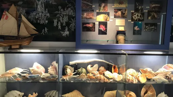貝殼博物館