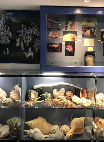 Hotels near Seashell Museum