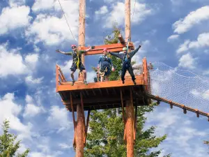 Oyama Zipline Adventure Park