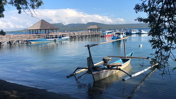 Dive Concepts Pemuteran