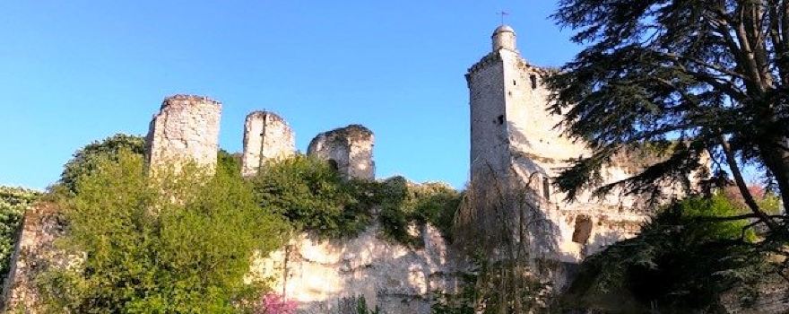 Castle de Vendôme
