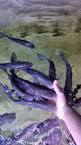 Lyme Regis Marine Aquarium
