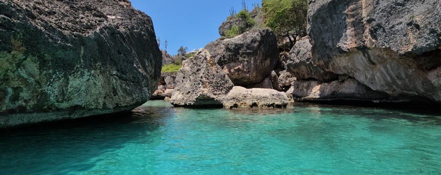 Bahia de las Aguilas