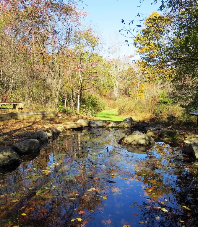 Harding Township