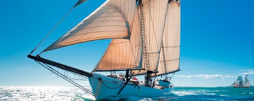 The Black Dog Tall Ships