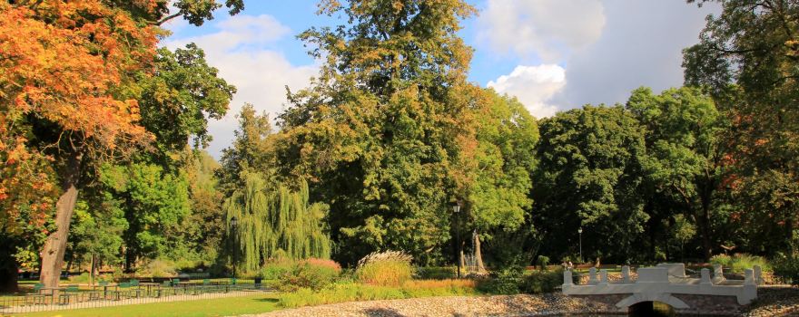 Bernardine Garden