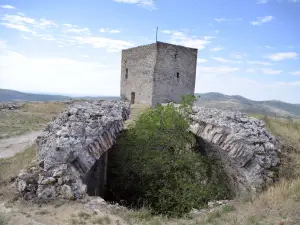 Castle of Atienza