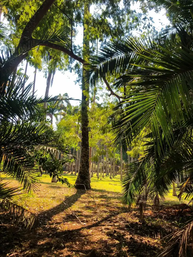 Hotels near Congregação Cristã no Brasil - Jardim Progresso