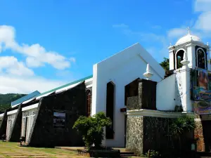 Diocesan Shrine and Parish of Our Lady of Salvation - Joroan, Tiwi, Albay (Diocese of Legazpi)