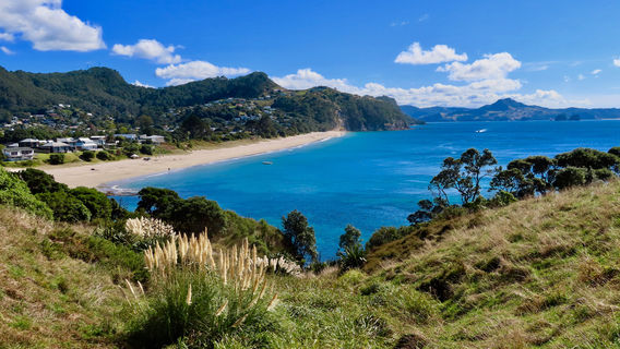 Te Pare point Hahei