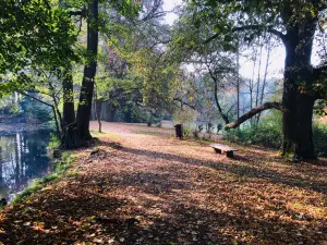 Zamek Rajec Nad Svitavou