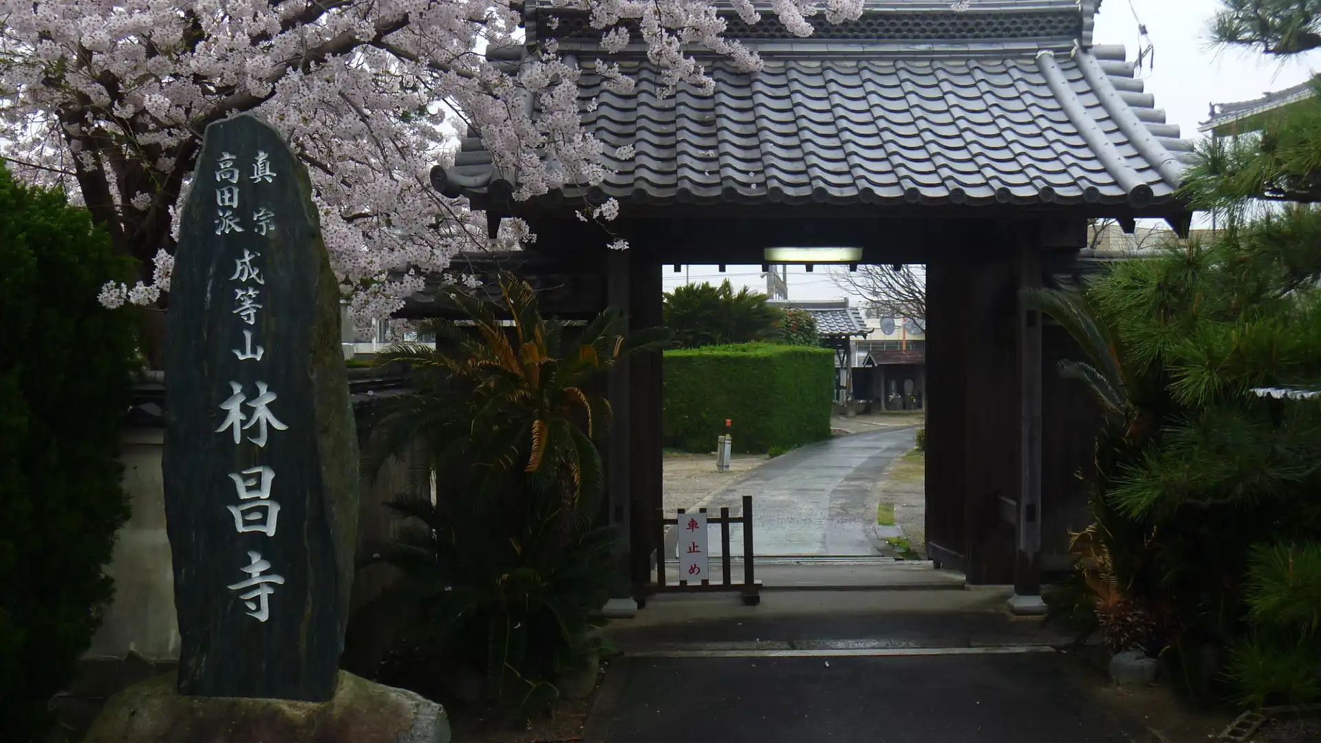 Hotels near Rinshoji