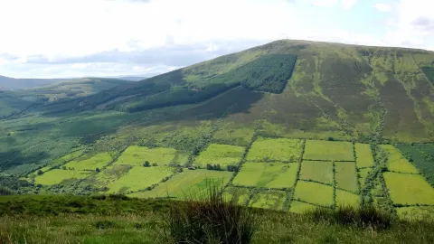 Murroe travel destination