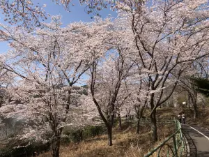 Nodogoe Park