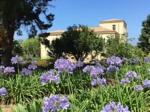 Fondazione Famiglia Piccolo