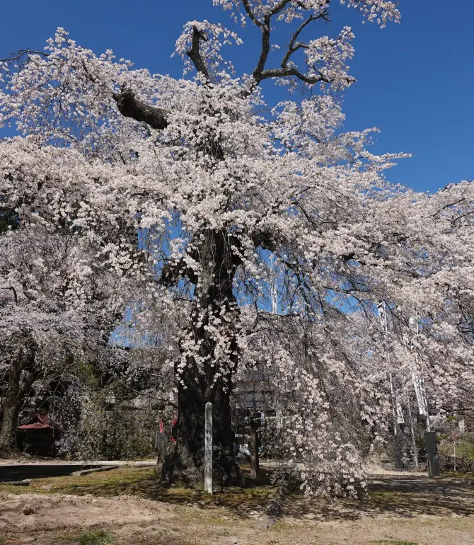 高森町