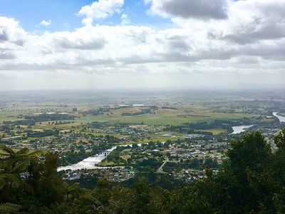 Kauri Loop Track