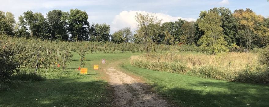 Minnetonka Orchards