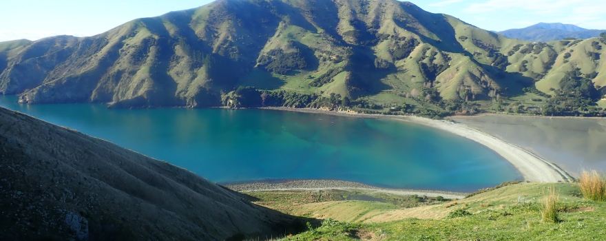 Cable Bay Walkway