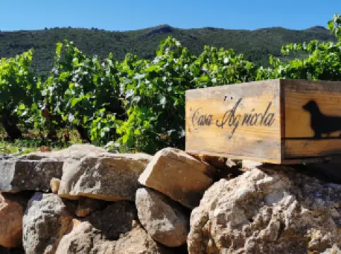 Pepe Mendoza Casa Agrícola