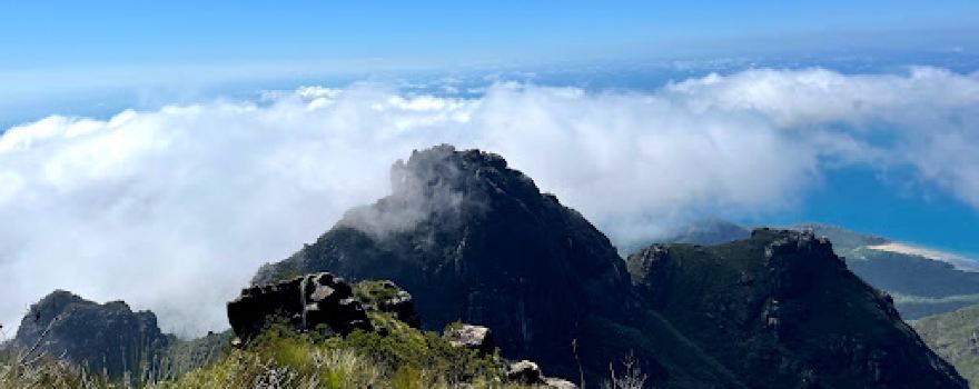 Hinchinbrook Island Cruises