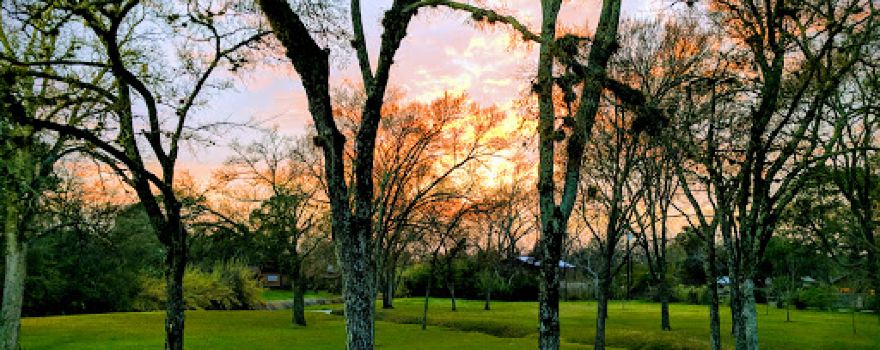 Tanglewood Park