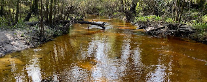 Little Manatee River State Park North Trail Head