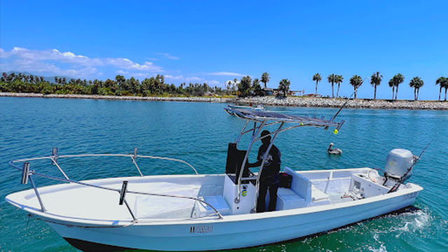 Daliken Sportfishing