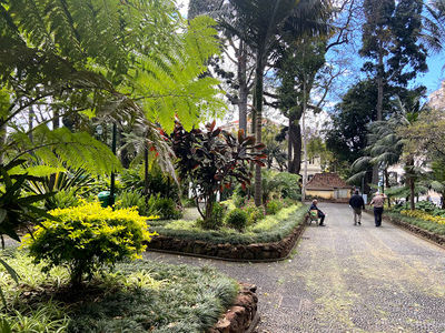 Jardim Municipal do Funchal