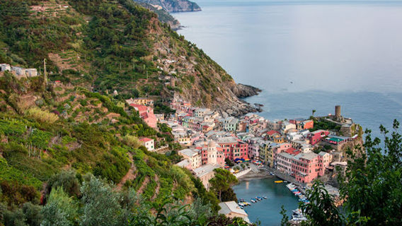 Camping Albero D'Oro