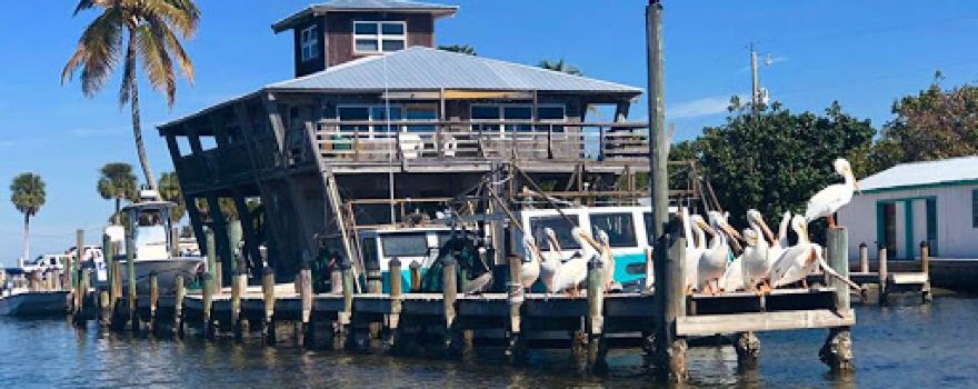 Pine Island Boat Tours