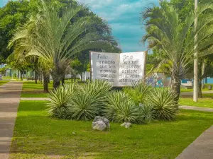Bible Square
