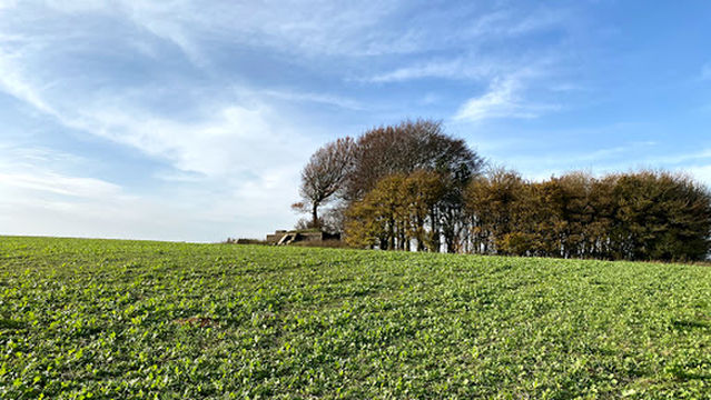 Starfish decoy bunker