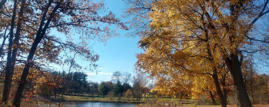 Morgan Lake Park