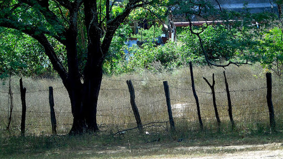 Parque da Orla Jequitinhonha