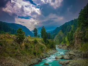 Shopian Woods