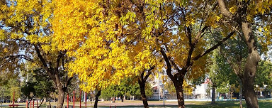 Plaza Mariano Moreno