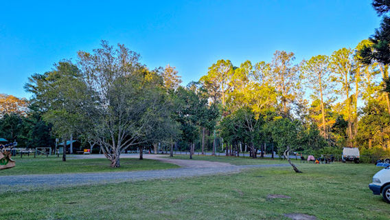 Maleny