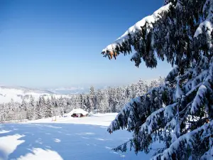 Skilifte Haldenköpfle