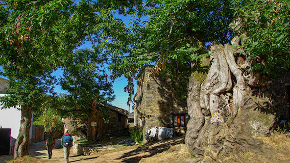 Comarca de Sarria